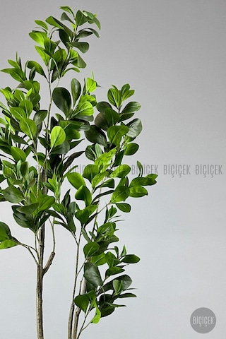 Biçiçek Yapay Manolya Ağacı 150 Cm Krem Metal Saksıda