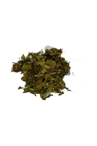 Cinnema Gurmar Otu Gymnema Sylvestr 100 Gr Paket