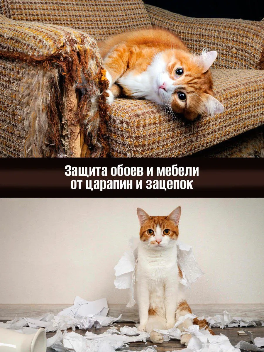 Dzessi Kedi Dostu Mobilya Ve Duvar Kağıdı Koruyucu Çizilmeye Dayanıklı Film 370411985