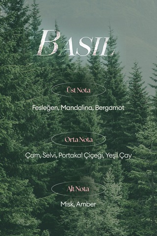 Missha A'pıeu Juicy Pang Perfume Hand Cream Basil