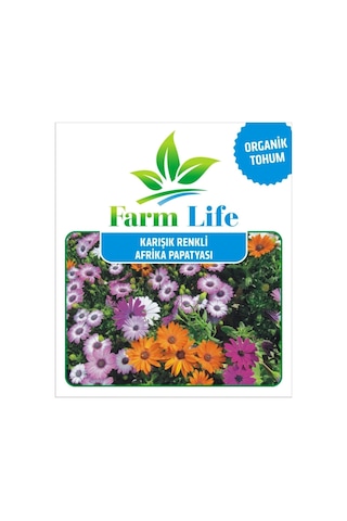 Karışık Renkli Afrika Papatyası Tohumu