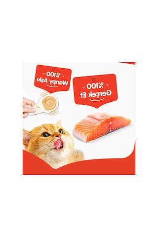 Kaşıklı Kedi Ödül Kreması Somon Aromalı 10x16 G