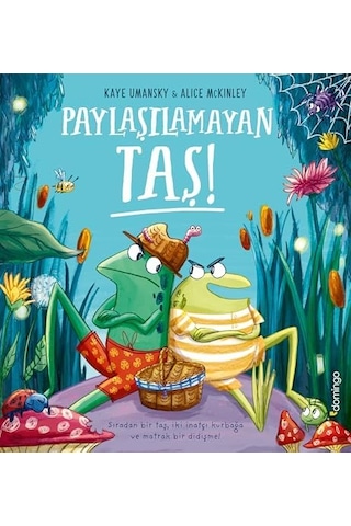 Paylaşılamayan Taş