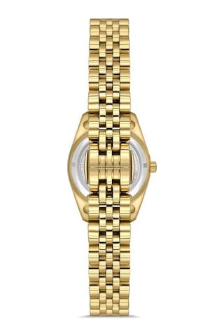 Ql156g-08sg Hislon Kol Saati 22 Mm / Gold Gri