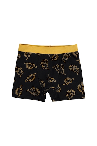 Civil Boys Civil Erkek Çocuk Dinosaurs Erkek Çocuk 2'li Boxer Likralı Süprem Okul Kreş Ve Günlük Kullanım Standart