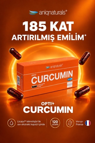 Aniqnaturals Curcumin 120 Licaps