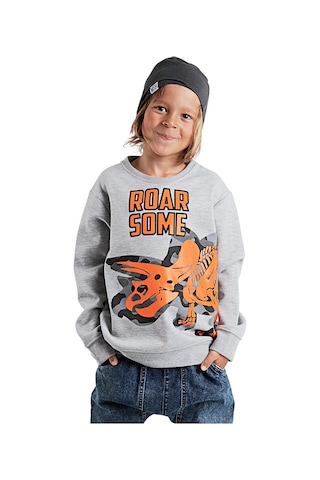 Denokids Roar Erkek Çocuk Sweatshirt - Gri