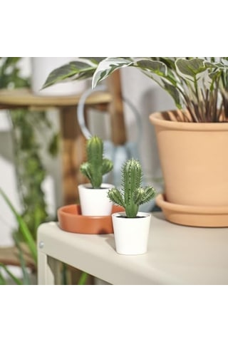 Tr Yapay Bitki, Yeşil, 6 Cm, Kaktüs, İç/dış Mekan Diğer