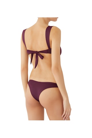 Away That Day Fiji Bikini Altı Mor
