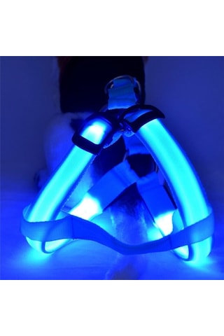Dailytech Ayarlanabilir Led işıklı Pet Köpek Göğüs Tasması Kemeri