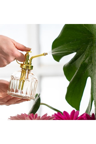 Perotti Vintage Cam Bitki Sulama Şişesi 250 ML Pembe