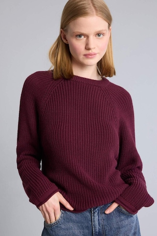 Defacto Regular Fıt Bisiklet Yaka Kazak L2567az26wnbr350 Bordo-br350