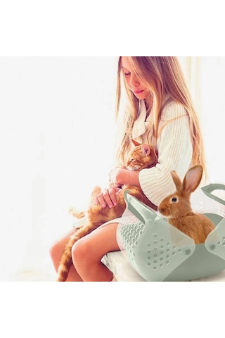 İmac Baggy Kemirgen Ve Yavru Kedi Taşıma Çantası Pembe 36x25x29 Cm