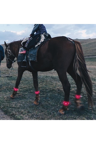 Homyl Açık At Binme Koşu Için Led Ayak Bileği Kırmızı Kırmızı