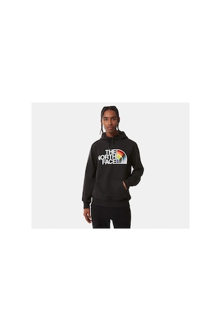 The North Face M Pullover Hoodie Erkek Outdoor Sweatshirts NF0A7QCKJK31 Siyah