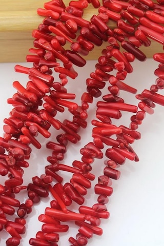 Ince Dal Mercan Dizi Altın