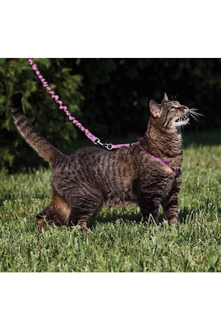 Petsafe Come With Me Kitty Koşum Takımı Ve Bungee Tasma, Kediler İçin Koşum, Büyük, Tozlu Gül/bordo