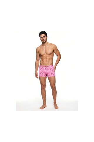 Carnaval Socks Acı Biber Desenli Erkek Boxer Pamuklu Likralı Parlak Lastikli Kutulu Pembe Çoklu