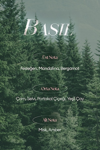 Missha A'pıeu Juicy Pang Perfume Hand Cream Basil