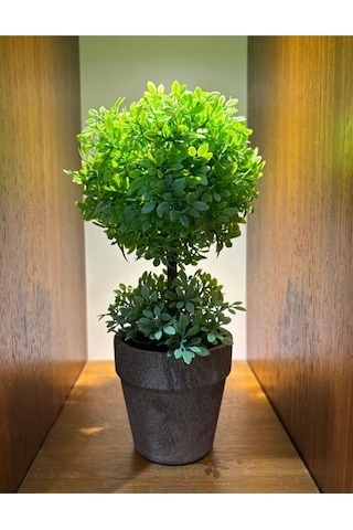 Zümrüt Yeşili İkili Topiary Aranjman 24 Cm X 10 Cm Yeşil