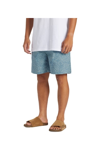 Quıksılver Quiksilver Erkek Walkshort Taxer Açık Mavi Günlük Giyim Bge6 Çok Renkli