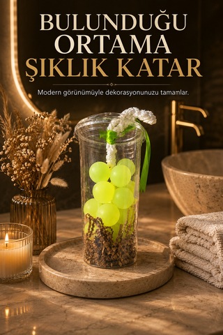 Yeşil Dekoratif Kokulu Sabun Bardak Aranjmanı Ortam Kokulandırıcı Şık Tasarım Banyo Ofis Salon Dekor Akdeniz