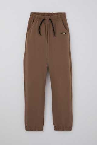 Breeze Erkek Çocuk Eşofman Altı Bağcık Aksesuarlı Arma Detaylı 4-8 Yaş, Kahverengi Kahverengi