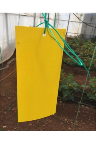 Grow Wizard Sarı Yapışkan Tuzak 10'lu Paket 10