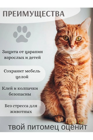 E.lekar' Kediler İçin Tırnak Koruyucu 40 Adet M 246072739