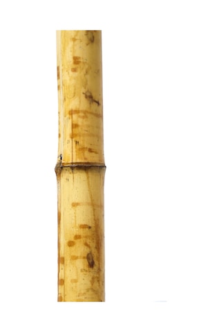 Dekoratif Bambu L