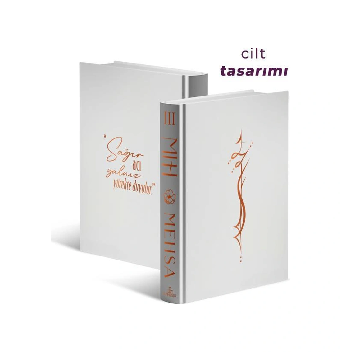 Mıh 3: Sağır Yürek Ciltli