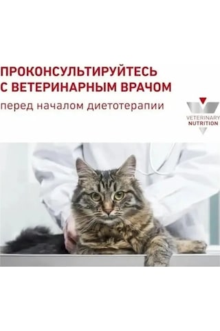 Royal Canin Renal With Beef 12 Adet X 85 G Renal İle Sığır Etli Yaş Kedi Maması 308426456