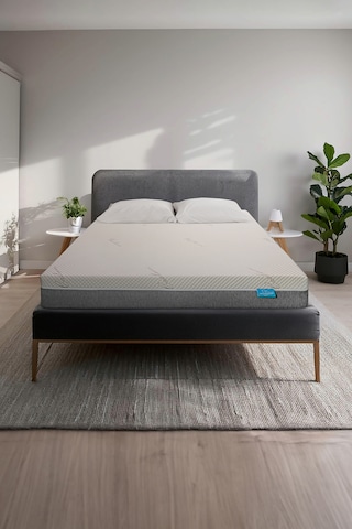 Lotus 5 Cm Doğal Latex 14 Cm Hr Sünger Ortopedik Yatak Fermuarlı Yastık Kılıfı Hediyeli