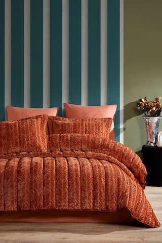 Elart Velvet Prime Set 10 Parça Tarçın