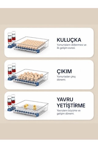 24 Lü Dijital Otomatik Yumurta Kuluçka Makinesi Tavuk, Bıldırcın, Ördek İçin