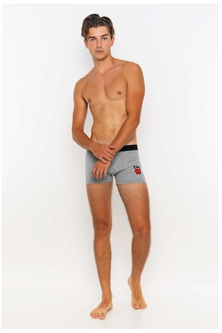 Redowl Baykuş Baskılı Gri 2'Li Boxer Gri