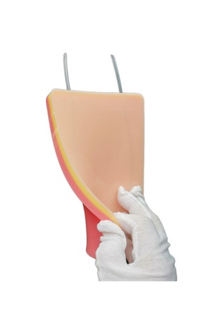 Suntek Hemşire Eğitim Malzemesi Aracı Için Yeniden