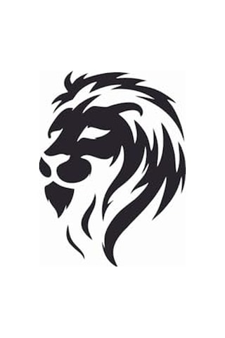 Aslan Araba, Motorsiklet, Kask, Laptop, Cam, Duvar Sticker 12x9 Cm Genel