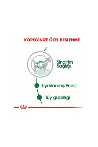 Royal Canın Küçük Irk Köpekleri İçin Mini Adult 12 Adet X 85 G Mama 102227614