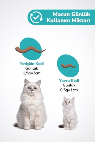 Kedi Tüy Yumağı Önleyici Malt Kedi Tüyü Döküm Dökülmesi Önleyici Engelleyici Kedi Maltı - 100 Gr