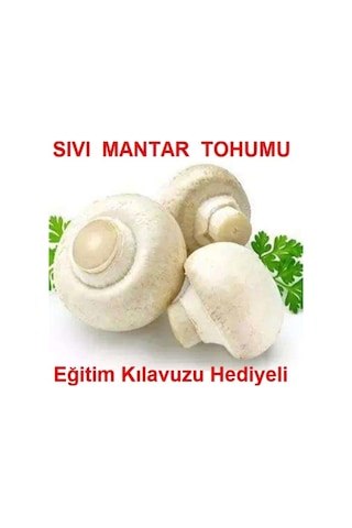 100 Ml Kültür Mantarı Tohumu