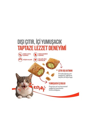 Kedi Crunch Ödül Catnipli & Tavuklu 60g