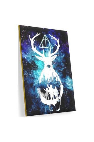 Cakasepetim Harry Potter Suluboya Görseli Ahşap Mdf Tablo