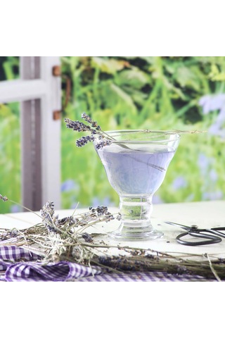 LAV Orion Cam Dondurma & Tatlı Kasesi 6'lı Küçük Boy 255 ml (Reçellik  )