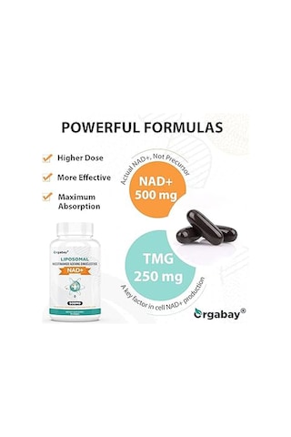 Orgabay Lıposomal 500 Mg Nad + 250 Mg Tmg Trimethylglycine 60 Cap