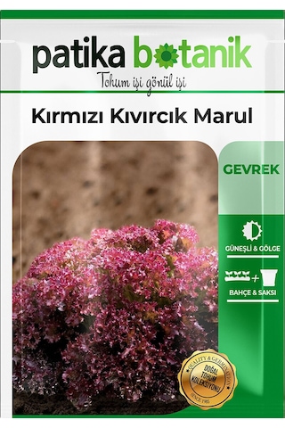 500 Adet Yerli Ata Kırmızı Kıvırcık Marul Tohumu