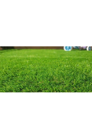 40 Mm Rulo Çim Halı - Genişlik 2 Metre Diğer