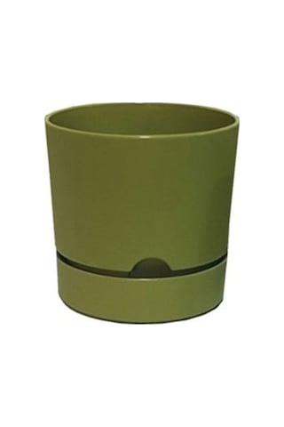 Polıwork Saksı Begonya 18 Cm Yosun Yeşili