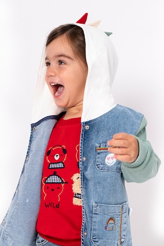 Overdo Kids Erkek Çocuk Renkli Kapüşonlu Kot Ceket Mavi