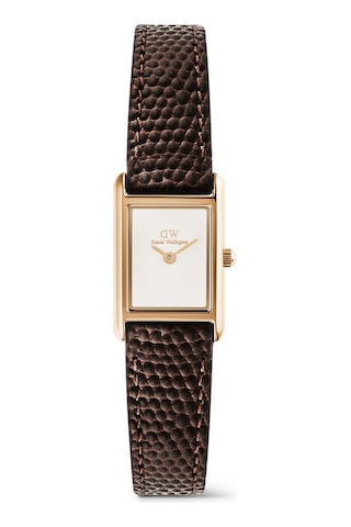 Daniel Wellington Dw00600908 Kadın Kol Saati Diğer